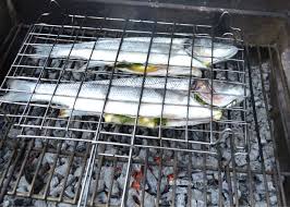 We did not find results for: Come Cucinare Il Pesce Alla Griglia Come Fare Grigliata Di Pesce
