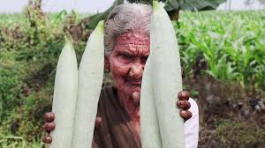 A brief description of the manhwa the live: Snake Gourd Milk Recipe Easy Snake Gourd Curry Potlakaya Curry With Milk By My Granny S Youtube