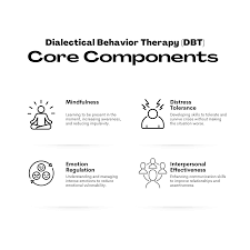 Image result for Dialectical Behavior Therapy