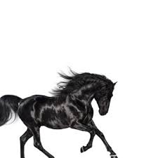 Short sleeve silhouette is cut from comfortable cotton and finished with a ribbed crew neck. Old Town Road Wikipedia