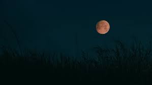 So gegen 22 uhr hatte sich der mond aus. Frapp Heute Abend Ist Vollmond