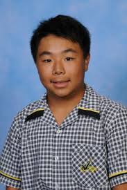 Varsity Vikings School Sport Success