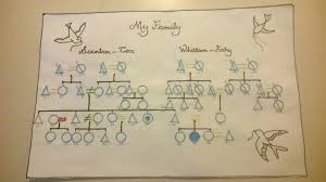 creative kinship diagram family tree in 2019 family tree