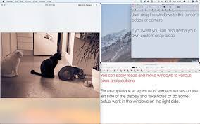 Desktop window management tools can be a good service to mac owners with a small screen size. Folivora Ai Great Tools For Your Mac