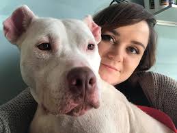 Hedgehog health and care updates