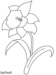 Print Coloring Page And Book Daffodil Flowers Coloring Pages For Kids Of All Ages Updated On T Malvorlagen Blumen Wenn Du Mal Buch Malvorlagen Zum Ausdrucken