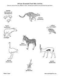 African grassland animals (labeled) the savannah and veldt make up the central part of africa in a band across the continent and down the middle into south africa. Learn About Food Webs And African Grasslands From Exploringnature Org Food Web Food Web Activities African Animals