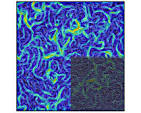 Scientists find evidence of universal conformal invariance in ...