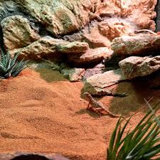 Image result for Terrarium Cling Background