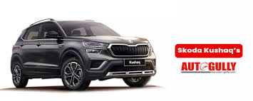 Image result for Carbon Steel Matte 2025 Slavia