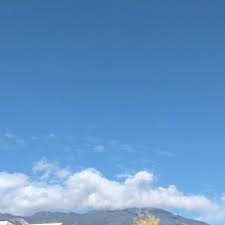 Kaki bagian dalam posisi lengan saat melakukan passing bawah permainan bola voli adalah. Teknik Yang Digunakan Apabila Hendak Mengoperkan Bola Jarak Dekat Dalam Permainan Sepak Boladalah Brainly Co Id