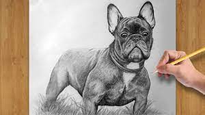 Happy chinese new year everyone! How To Draw A Realistic Dog French Bulldog With Pencils Time Lapse Youtube