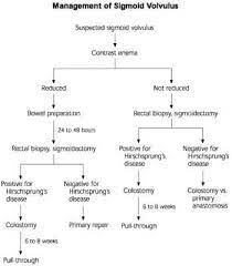 Pediatric Sigmoid Volvulus Dr Maad Medical Encyclopedia