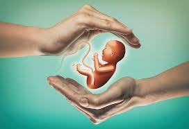 Content updated daily for insurance coverage for ivf. Ivf Insurance Coverage In India Cost Policies