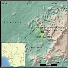 Image result for Napoleonaea angolensis