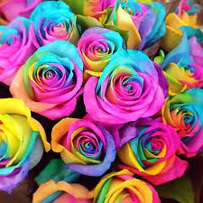 When we enjoy the beauty of the flowers or send flowers as presents, it's the best we know the meanings of different flowers. Beautiful Rainbow Flower Wallpaper