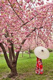 Pin On Spring Travel