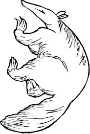 Click on the image you want to color, this will open page displaying large picture you selected. Anteater Coloring Page Animals Town Free Anteater Color Sheet