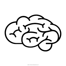 We will give information about various parts of the human body including skull knee joint heart brain and eye. Brain Coloring Page Ultra Coloring Pages