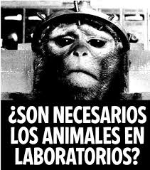 Resultado de imagen para marcas que experimentan con animales}