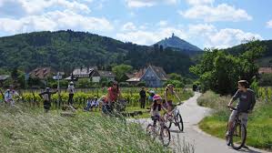 Seen in @bonappetitmag @eater @womenshealthmag find us @freshdirect @farmtopeople slowup.co + more below! Slowup Alsace Selestat Tourisme Haut Koenigsbourg