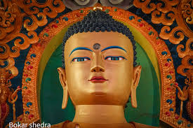 Bokar Shedra Obar Chimeyling, an institute for higher buddhist studies.