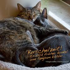 Образуйте предложения в präsens ( подсказка : Der Herbst Kommt Angeschlichen Katzen Total