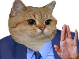 He is now contemplating a piratical presidential challenge that could blow open next year's presidential election. Sticker De Seankevan Sur Zemmour Ericzemmour Eric Chat Cat Cato Miaou Risitas Costume Cravate Patron Main Signe Sticker Id 87207