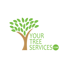 Tree services, arborists, tree pruning, tree services, tree removal, tree nurseries and more in longwood, fl. Your Tree Services Home Facebook