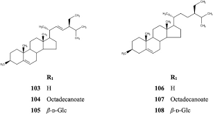 Image result for Acanthus mayaccanus