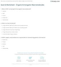 5) the following questions are based on the 15 molecules illustrated in figure 5.8. Quiz Worksheet Organic Inorganic Macromolecules Study Com