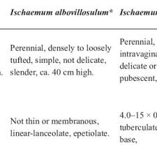 Image result for Ischaemum roseotomentosum