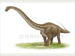 The actual fossil remains of seismosaurus are now on public display at the new mexico museum of natural history and science in albuquerque. Seismosaurus Prehistoric Animals Dinosaur Art Prehistoric Creatures