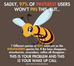 Birds Do It Bees Do It Movie Pin By Sundazedlillies On Just Me Save The Bees Bee Friendly Bee