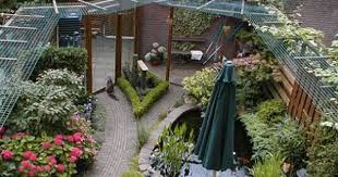 Pas D Echappatoire Enclos Exterieur Pour Chat Enclos Pour Chat En Plein Air Enclos Chat