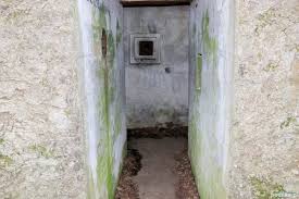 Bunkry mamerki sp z o o, ul. Mamerki Tajemnice Hitlerowskich Bunkrow Pedeka Pl