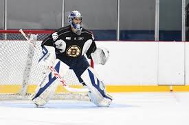 Daniel Vladar Joins Boston Bruins Depth Chart Ingoal Mag