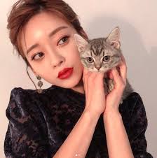 Kimtaetaekook Adli Kullanicinin Ulzz4ng 5 Panosundaki Pin Kedi