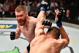 Paul felder is ducking you ok mate and i just made love to shania twain in a space rocket. Ufc Contender Paul Felder Decides Against Retirement I Can T Wait To Get Back To Doing This Bloody Elbow