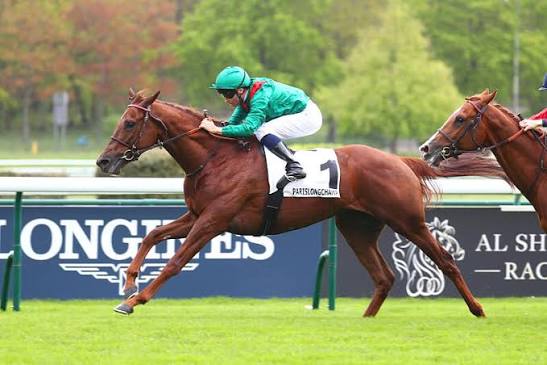 Longchamp : Varandir dans les pas de Daryz - France sire