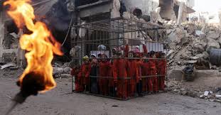 Image result for isis killings