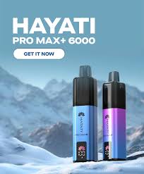 Hayati Pro Max Plus 6000 Puffs Prefilled Vape Kit | £8.99 | Buy