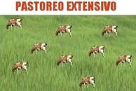 Resultado de imagen para "leyes universales" voisin