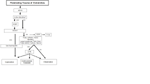 Gun shot wound can be abbreviated as gsw. Treatment Of Penetrating Trauma Of The Extremities Ten Years Experience At A Dutch Level 1 Trauma Center Scandinavian Journal Of Trauma Resuscitation And Emergency Medicine Full Text