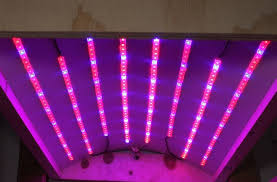 We did not find results for: Led Grow Lights Ultimate Guide 2021 Dreamway Outdoor Indoor Led Display Screen Manufacturers