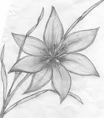 30 Trendy Pencil Art Drawings Flowers Sketch Pencil Drawings Of Flowers Flower Sketch Pencil Flower Sketches