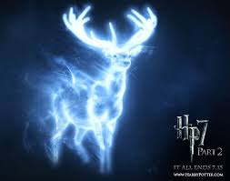 Find which patronus best suits you from a list of nearly 30 animals! Pin By Elektra On Harry Potter Patronus Harry Potter Patronus Harry Potter Harry Potter Love