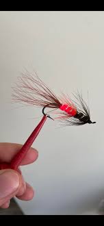 Marc Madore Sugarman Shrimp