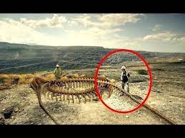 5 Interesting Facts About The Monster Snake Titanoboa Fun Facts Monster Snake