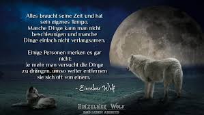 Unsere dienstleistungen im bereich zahnimplantate. Einzelnerwolf Tumblr Blog Tumgir